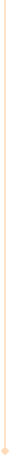 Parallax Image